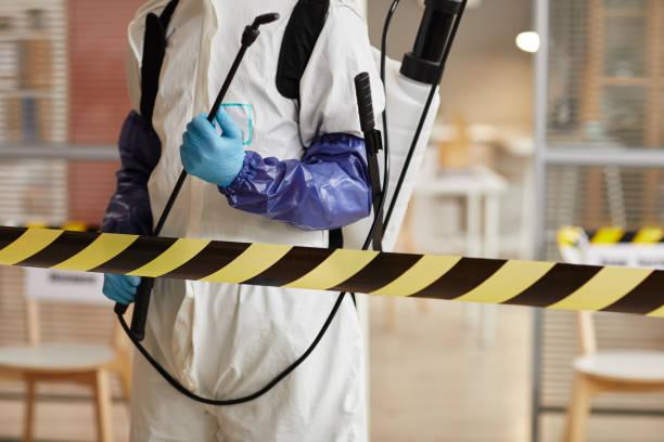 Professional Biohazard technician working in Phelan, CA